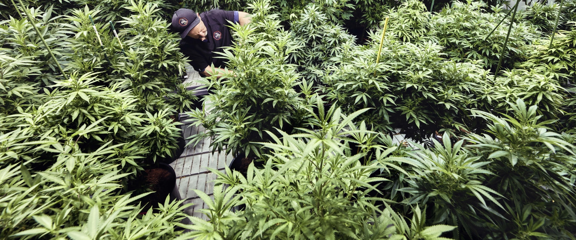 How Inpatient Residential Treatment For Addiction In Portland, Maine Helps When CBD Oil Isn’t Enough
