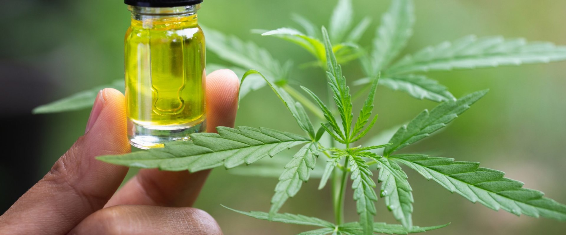 What kind of cbd oil has thc?