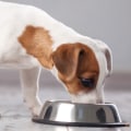 Does petsmart carry cbd for dogs?