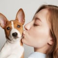 Is dog cbd the same as human cbd?