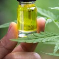 What kind of cbd oil has thc?