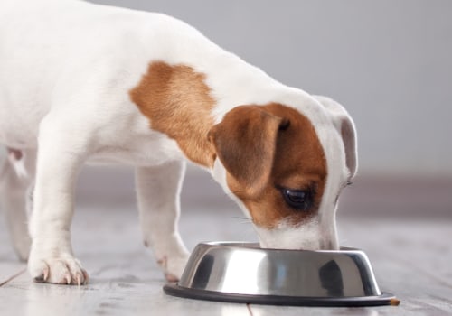 Does petsmart carry cbd for dogs?