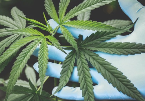 Can cbd become habit forming?