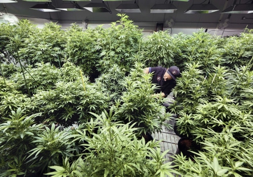 How Inpatient Residential Treatment For Addiction In Portland, Maine Helps When CBD Oil Isn’t Enough