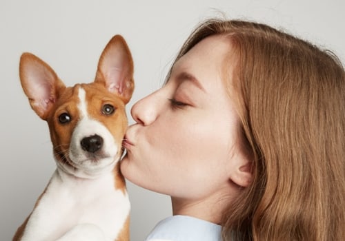 Is dog cbd the same as human cbd?